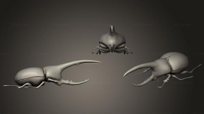 Insects (Hercules Beetle, INSCT_0063) 3D models for cnc